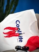 تیشرت پنبه باکسی Cool Life ( پک 3 عددی ) - Ela - شناسه 00201039 - تصویر 4